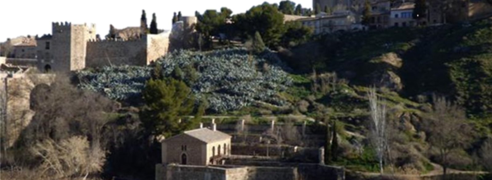 Visita guiada Judería de Toledo - Orígenes de Europa